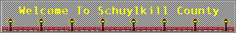Welcome To Schuylkill County - wellog.gif - 3338 Bytes